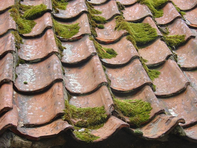 Tuiles couvertes de mousse